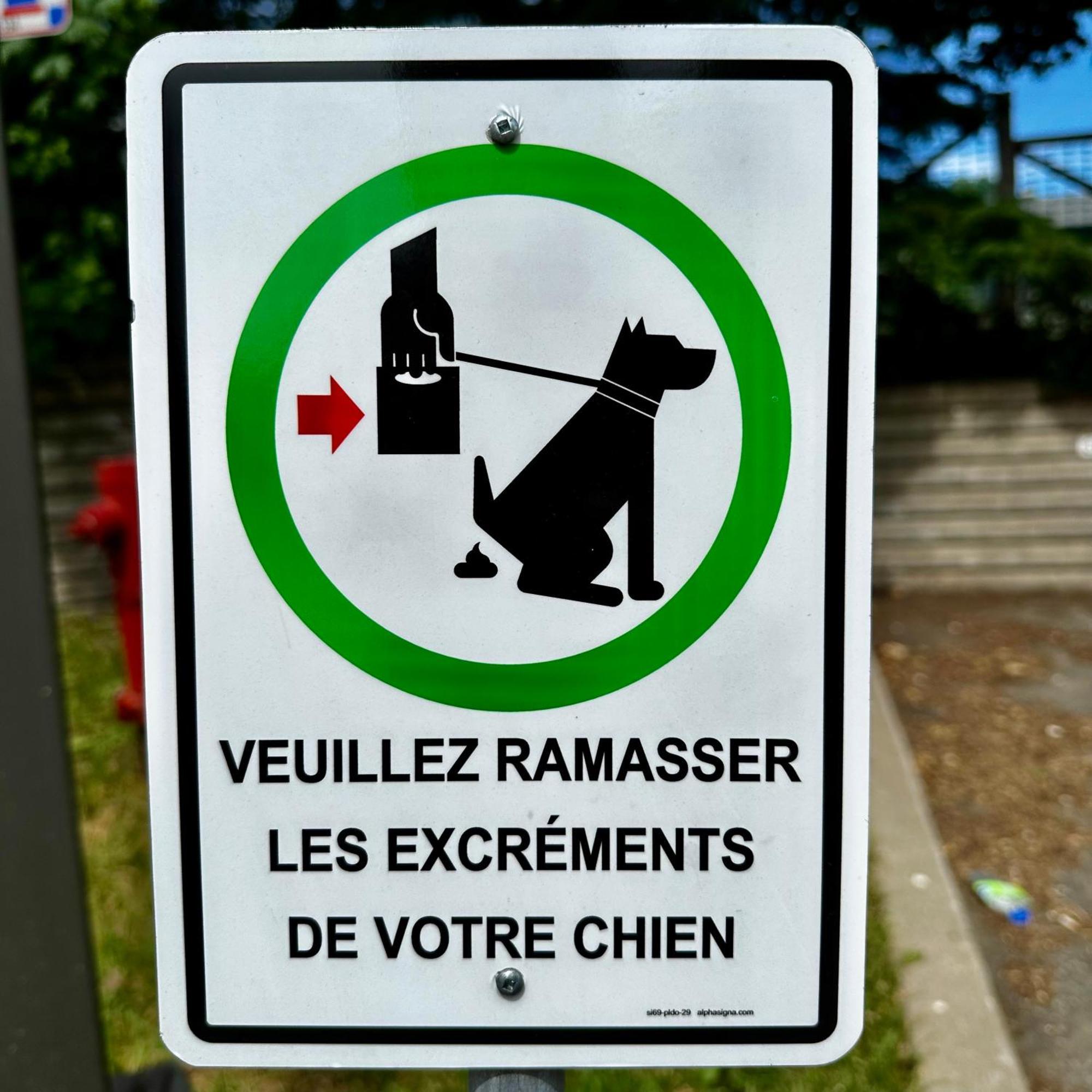 Initial - Moose - Chutes-Montmorency Saint-Jean-de-Boischâtel Exterior foto